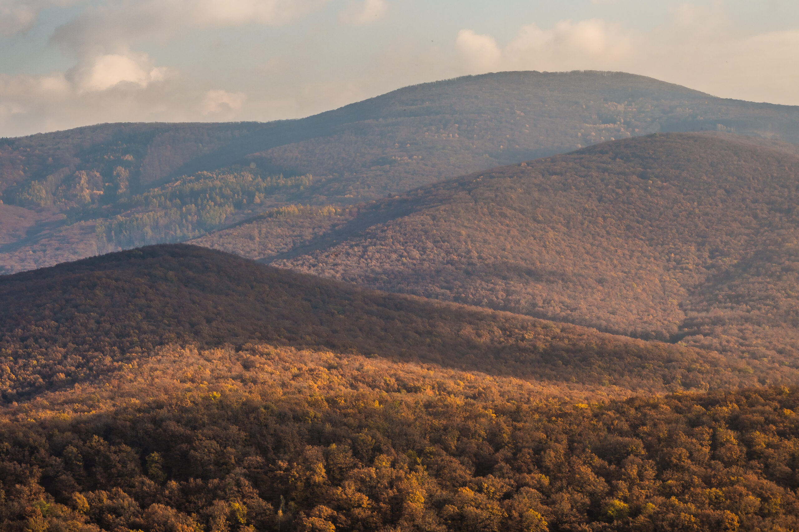 Myšlienka dnešného dňa