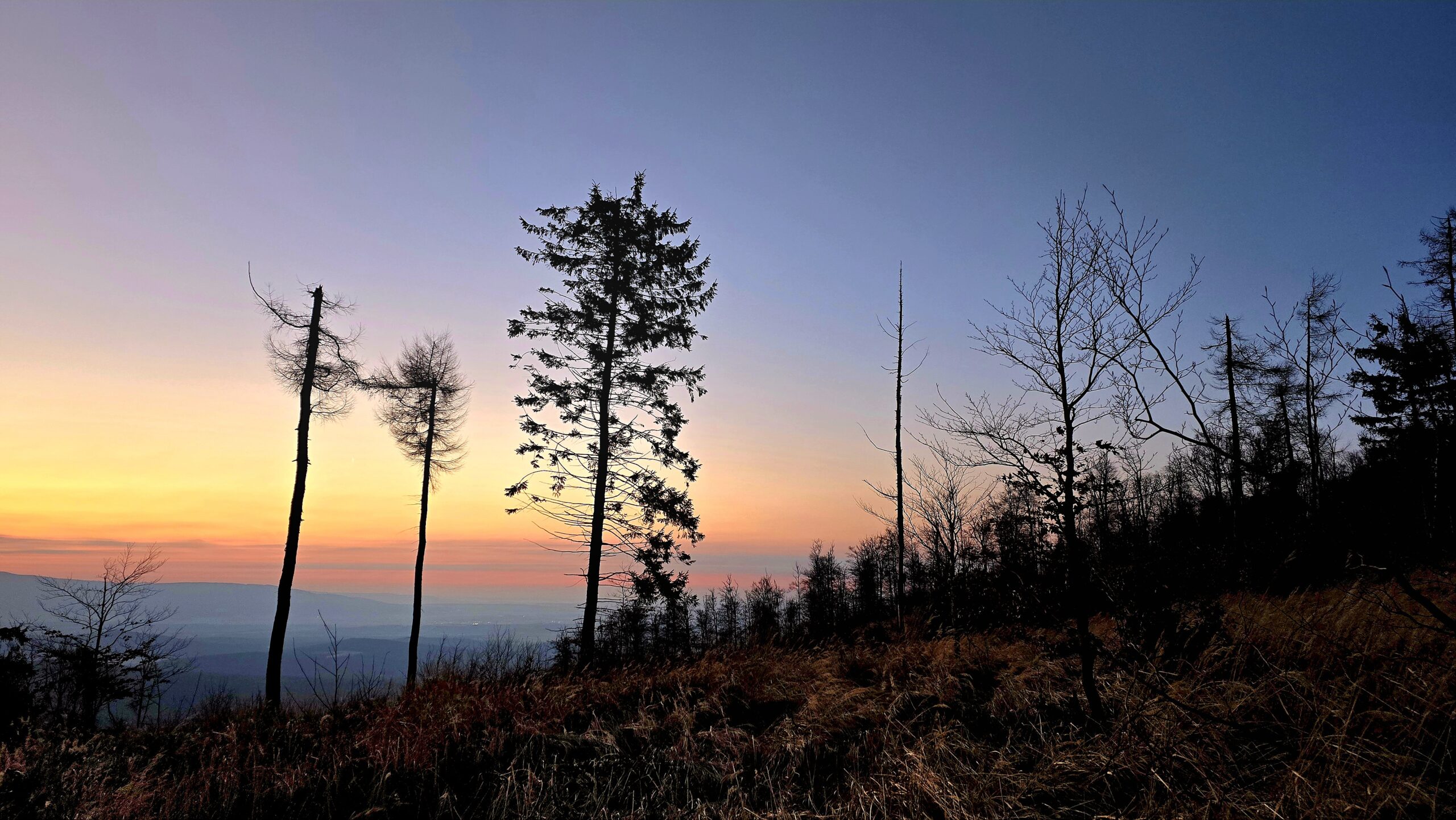 Symfónia zlatej hodiny…